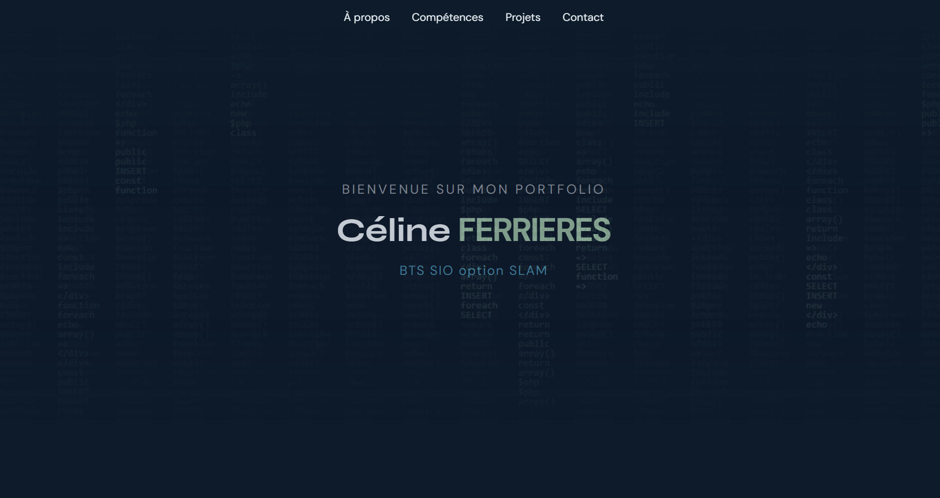 Page d'accueil de mon portfolio